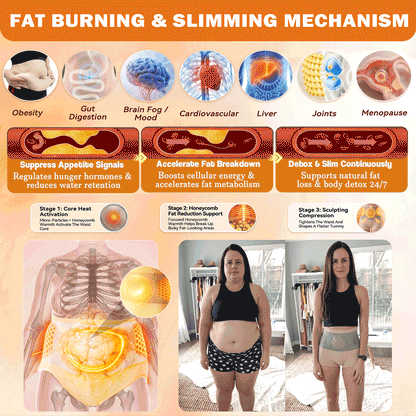 PAURAJU® 🧨30-Min All-in-One Micro-Particle Fat-Burning Shorts✅Ignites deep microcirculation to melt fat, flush toxins, and reverse metabolic aging.🚗